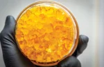 Buy Live Resin Shatter Online