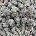SKUNK OG 🦨 - Image 3