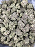 Mochi Runtz Small - Image 2